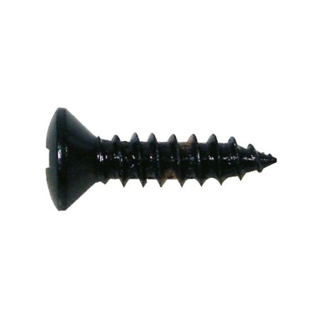 Boston TS-01 Pickguard Screw Black 12kpl TS-01-B