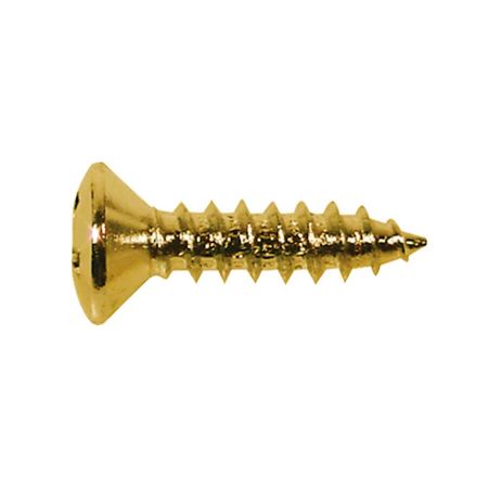 Boston TS-01 Pickguard Screw Gold 12kpl TS-01-G